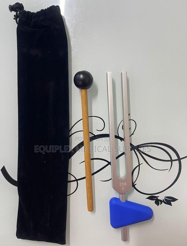 256hz Stainless Steel Tuning Fork (256hz Tuning Fork)