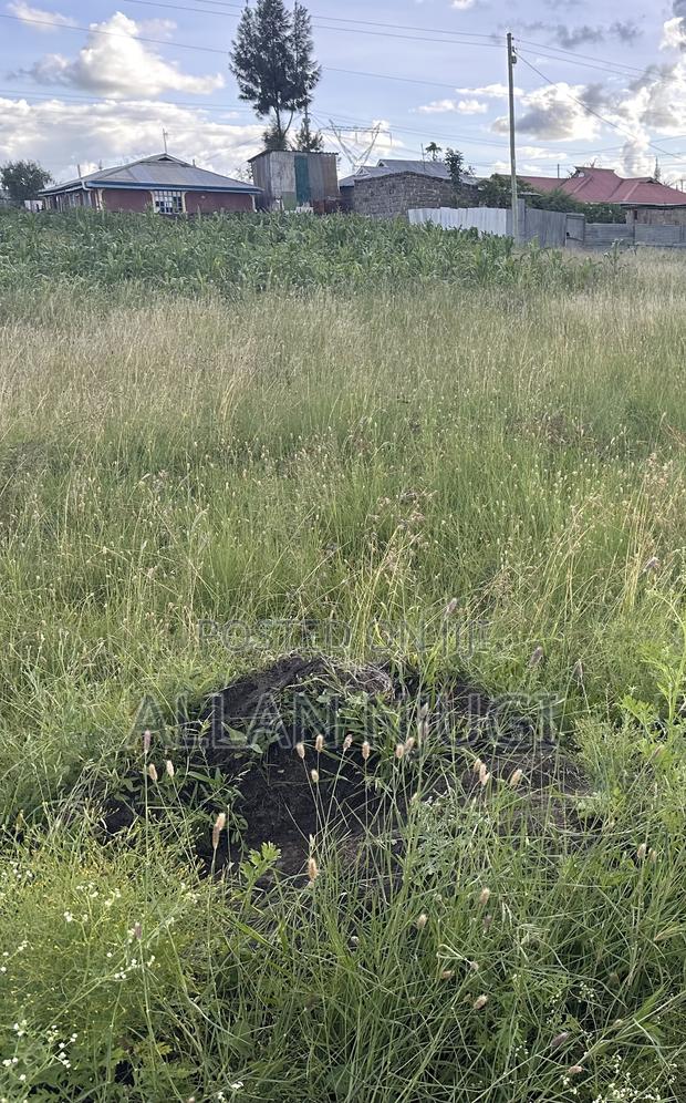 Malaa Plot for Sale - thumbnail 2