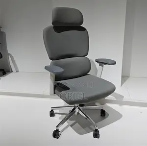 Office Chair : Orthopedic Fabric Office Chair