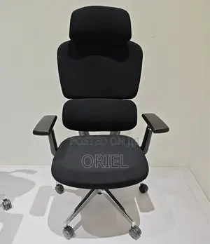 Office Chair : Orthopedic Fabric Office Chair