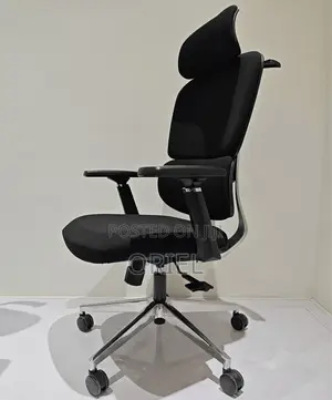Office Chair : Orthopedic Fabric Office Chair