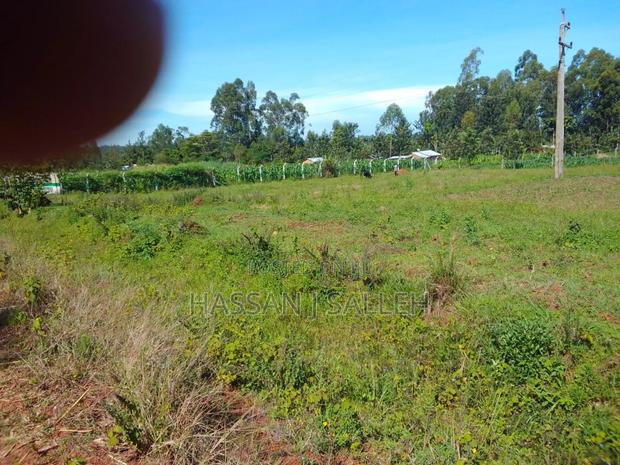 1/2acre Nyapora Mumias - thumbnail 4