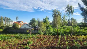 Mugutha Estate Damridge