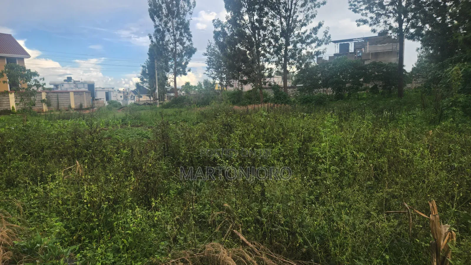 Mugutha Estate Damridge