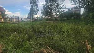 Mugutha Estate Damridge