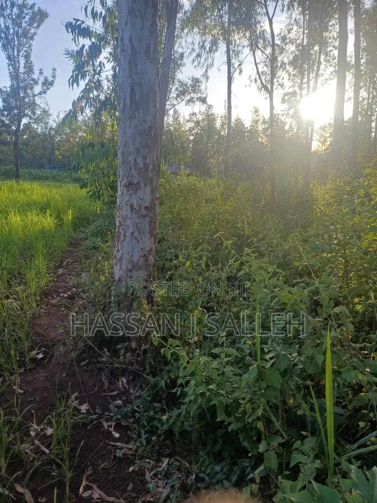 4plots on Sale Mumias