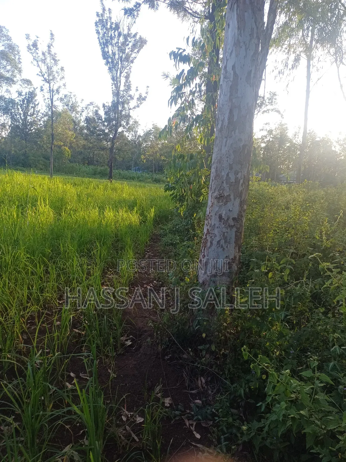 4plots on Sale Mumias