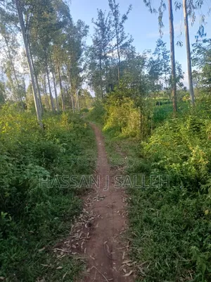 4plots on Sale Mumias