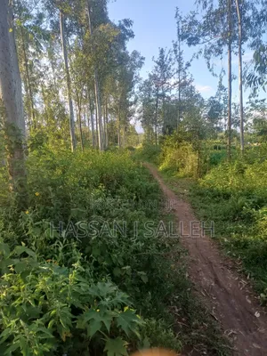 4plots on Sale Mumias
