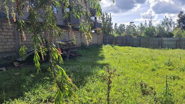 50 X 100 Commercial Land in Ngong Kibiko - thumbnail 3