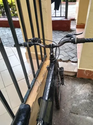 Shimano Bike