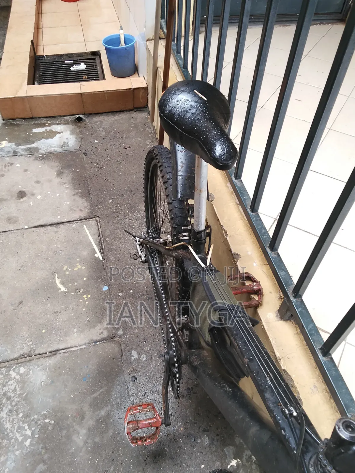 Shimano Bike