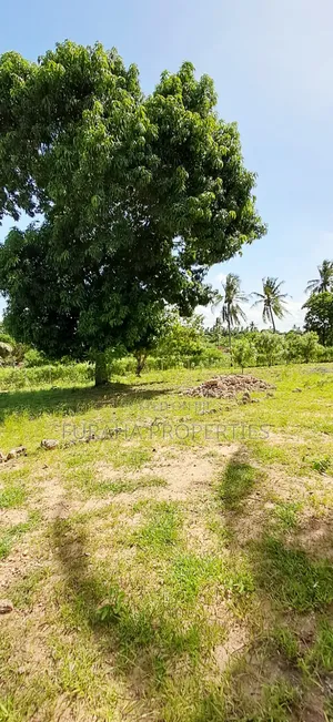 For Sale 2 Acres With Half Built House Tezo