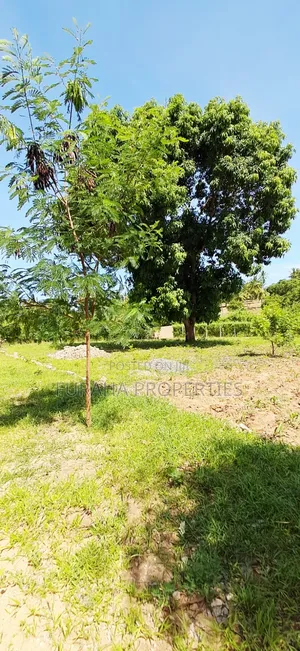 For Sale 2 Acres With Half Built House Tezo