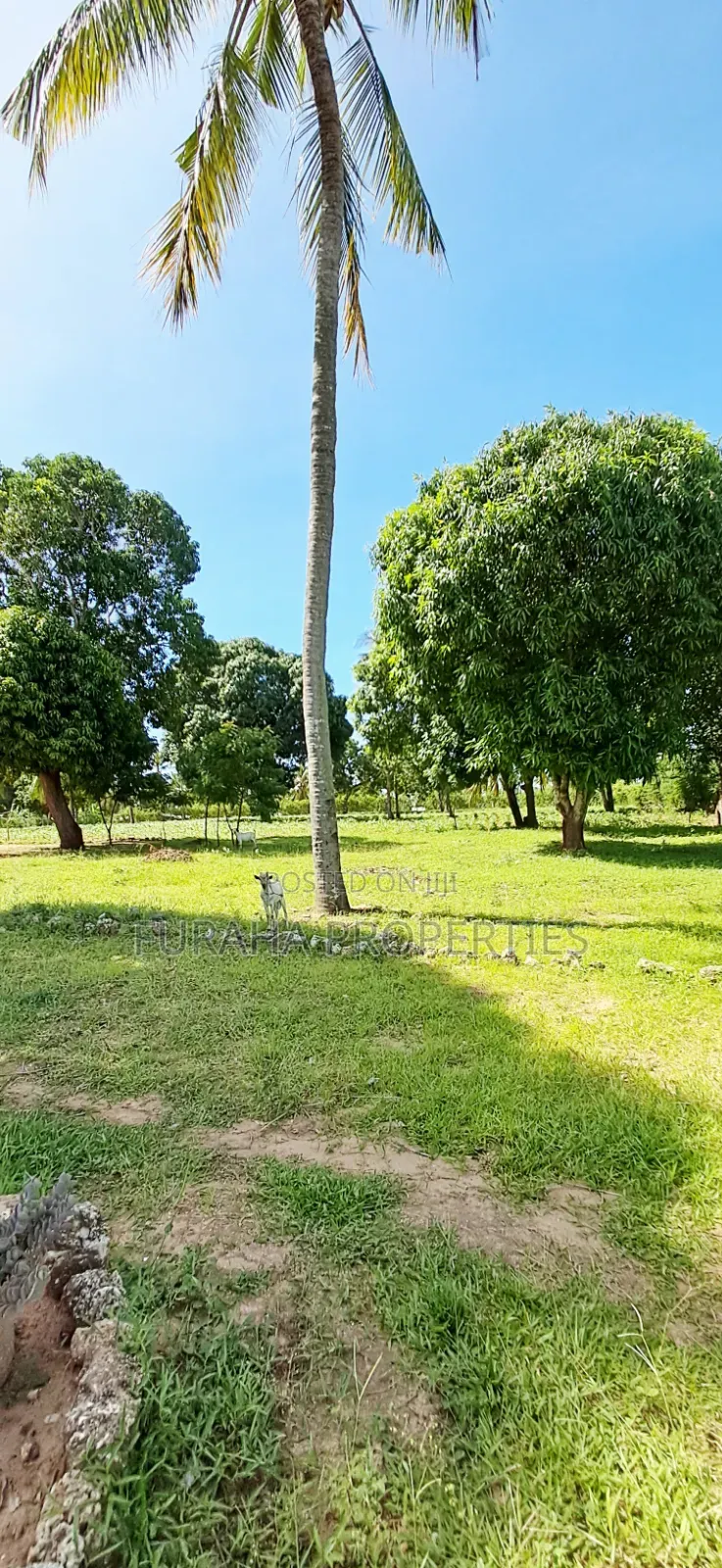 For Sale 2 Acres With Half Built House Tezo