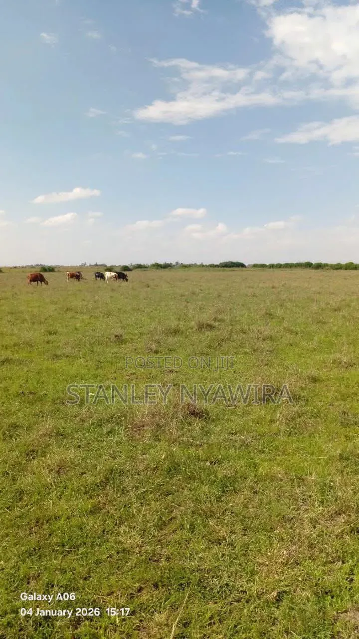 3.5 Acres Nanyuki Daiga