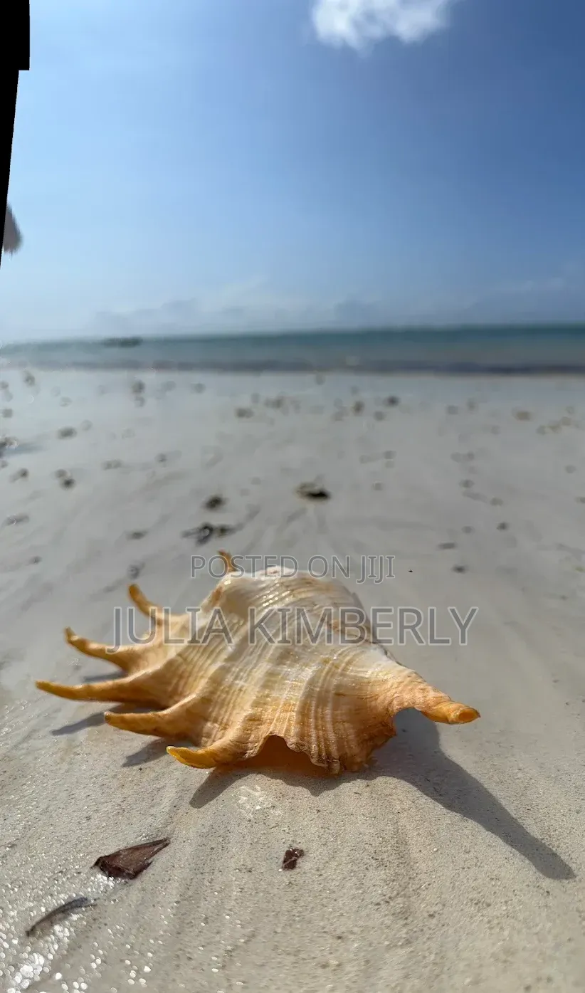 4th Row Diani 50 by 100 Neptune Hotel With Ready Title