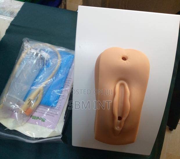 Female Cathetarization Model