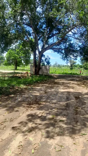 Msabaha/Gede. 10%Discounted 50 by 100s Malindi/Gede With Title