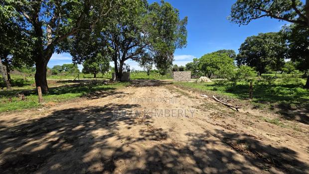 Msabaha/Gede. 10%Discounted 50 by 100s Malindi/Gede - thumbnail 4