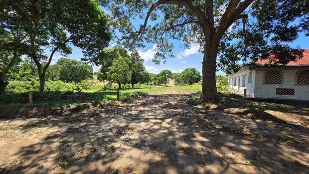 Msabaha/Gede. 10%Discounted 50 by 100s Malindi/Gede - thumbnail 5