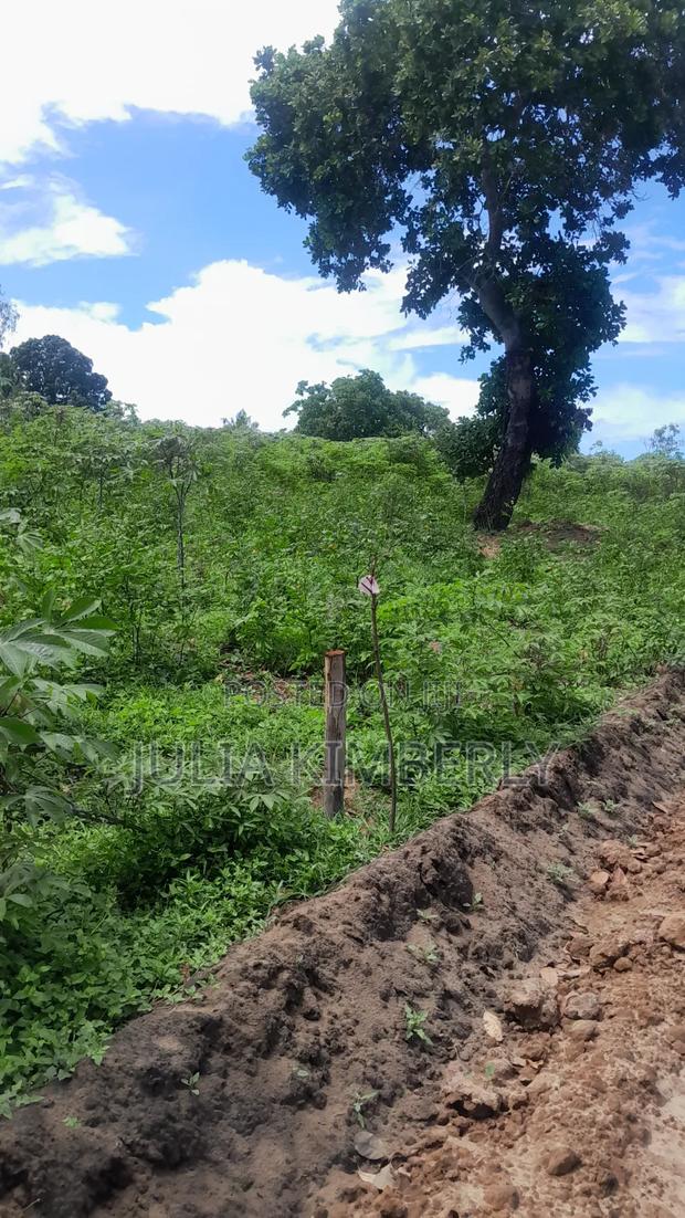 Msabaha/Gede. 10%Discounted 50 by 100s Malindi/Gede - thumbnail 6
