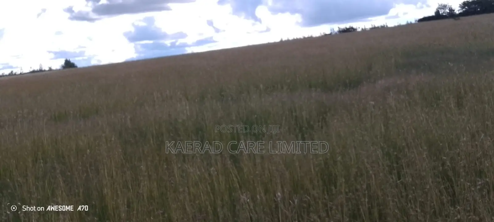 54.3 Acres Land for Sale in Isinya