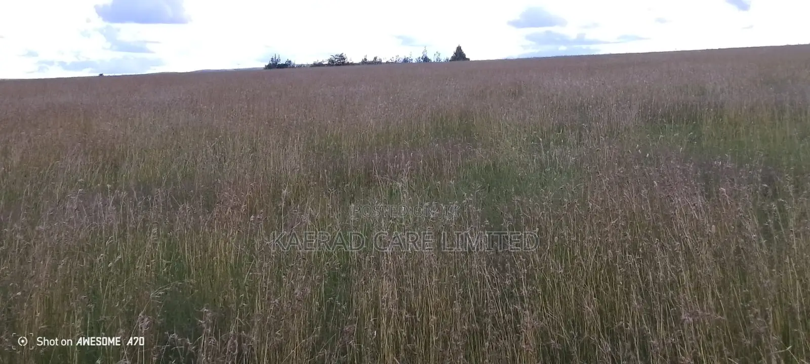 54.3 Acres Land for Sale in Isinya