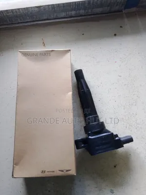 Left Ignition Coil Hyundai Palisade 2020 (Genuine)