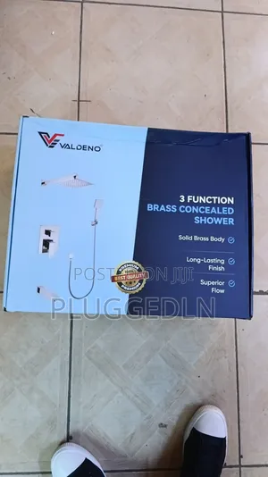 Valdeno 3 Function Concealed Shower System.