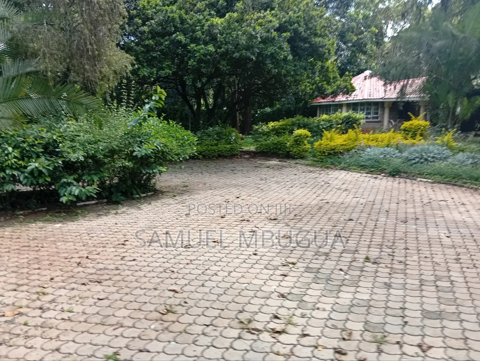 8bdrm Farm House in Karen for rent
