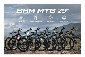 Size 29 Bicycle