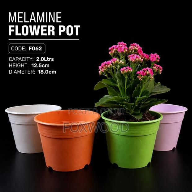 Crown Flower Pot / Planter With Plate - thumbnail 2