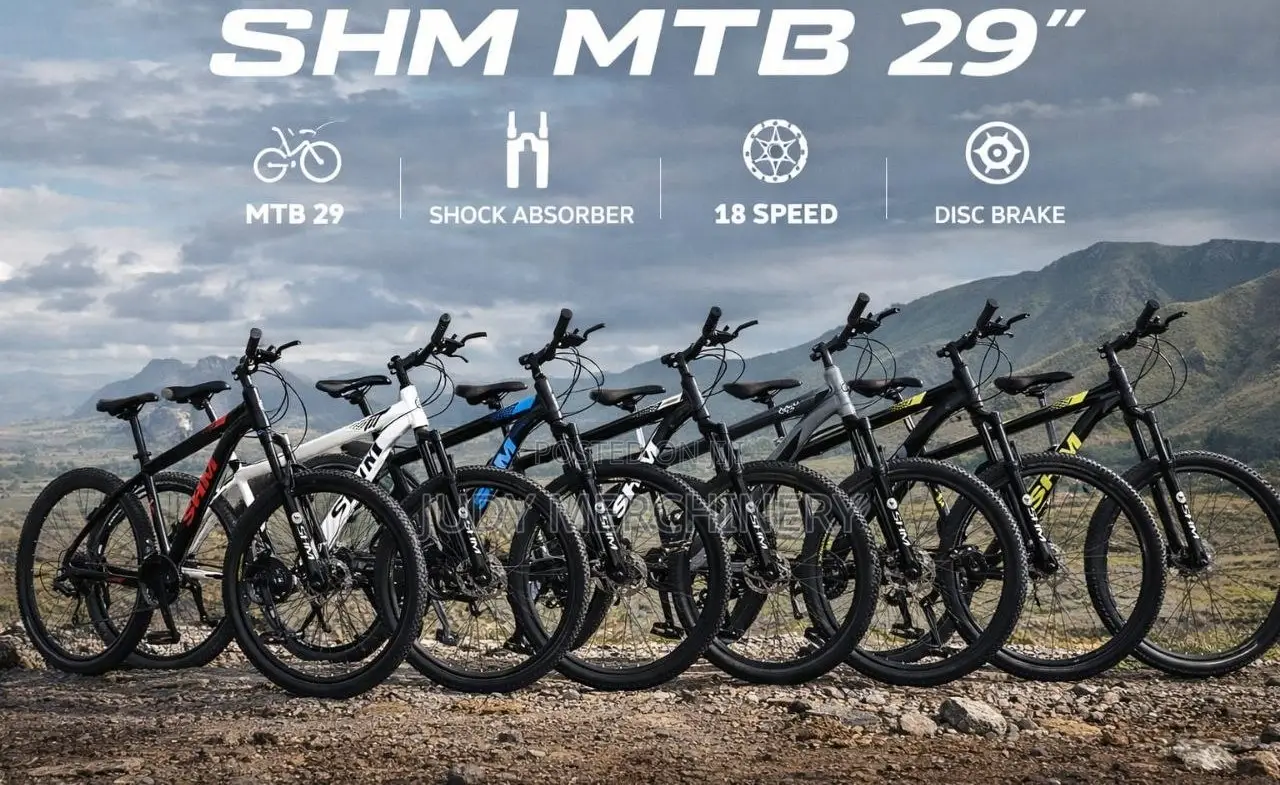 Size 20 Adult Sports Bike