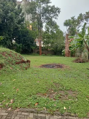 1.15 Acre Land