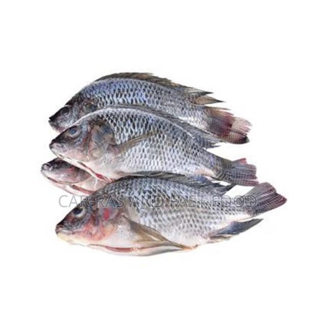 Fresh Fish From the Lake - main view