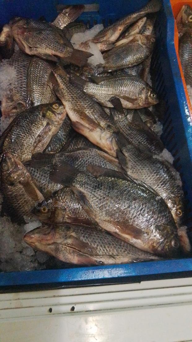 Fresh Fish From the Lake - thumbnail 2