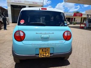 Suzuki Alto 2019 Blue