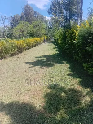 Home Compound Services