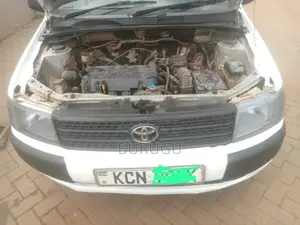 Toyota Probox 2010 White