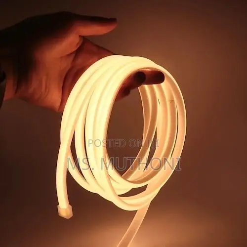 Rgb-ic Led Neon Snake Light, A Flexible Decorative Lighting Solution.