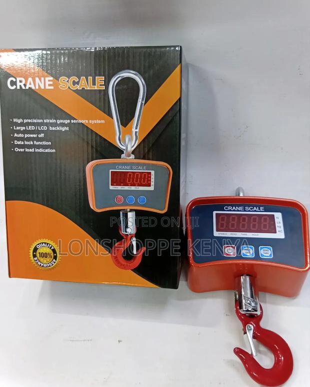 Crane Scale