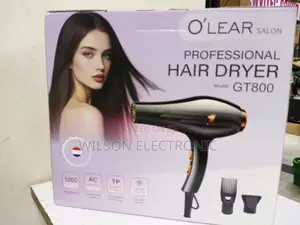 O'Lear Professional Hair Dryer. Gt800