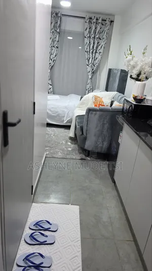 Furnished Studio Apartment in Tsavo Sunset 2, Thindigua/Kasarini