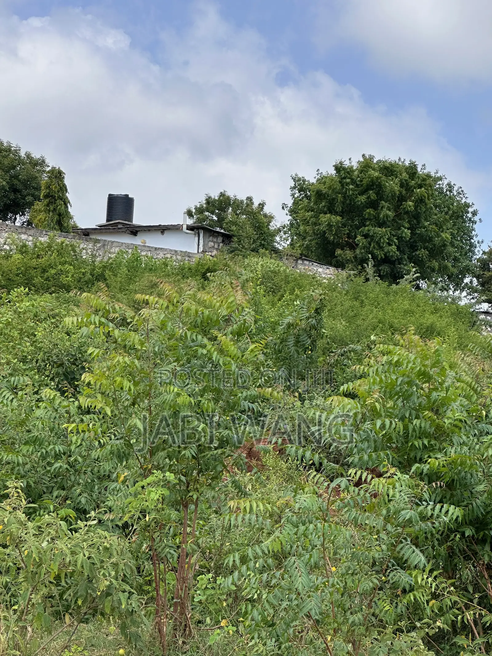 Plot for Sale Tharathameri