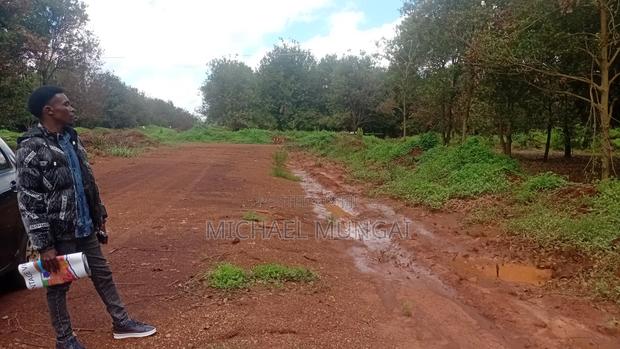 Land for Sale - thumbnail 2