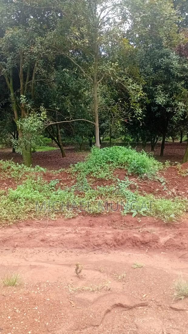Land for Sale - thumbnail 4
