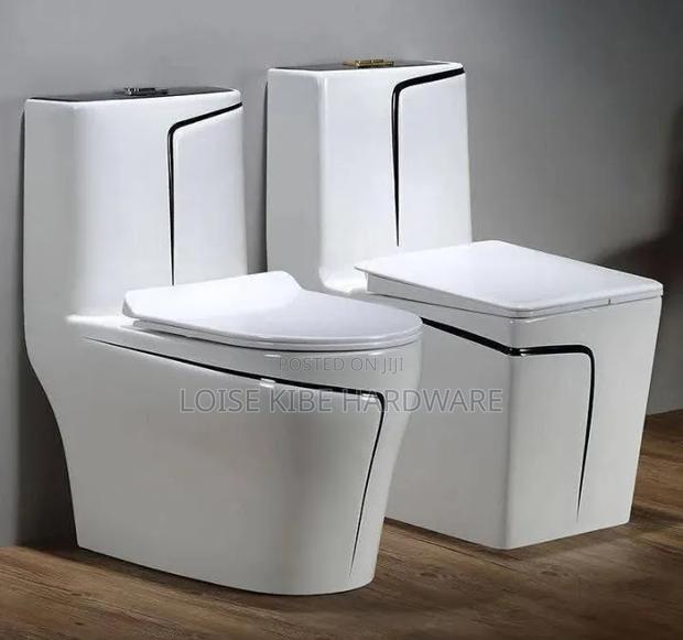 Black White Toilet Available