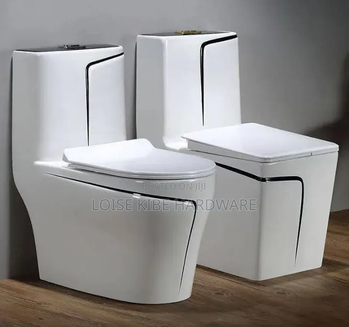 Black White Toilet Available