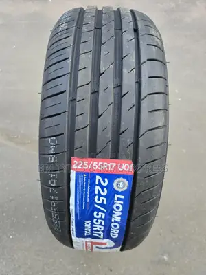 225 /55 R17 Lionlord Tyres (Highway)